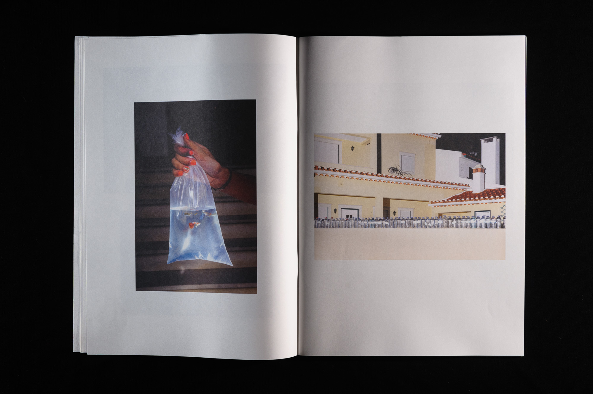 sope-livro-torres-novas-viagens-na-minha-terra-nelson-d-aires-05