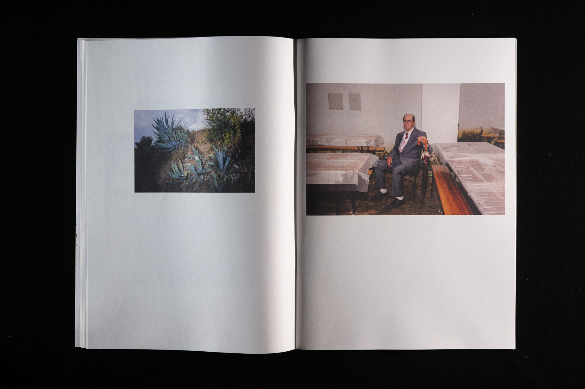 sope-livro-torres-novas-viagens-na-minha-terra-nelson-d-aires-06