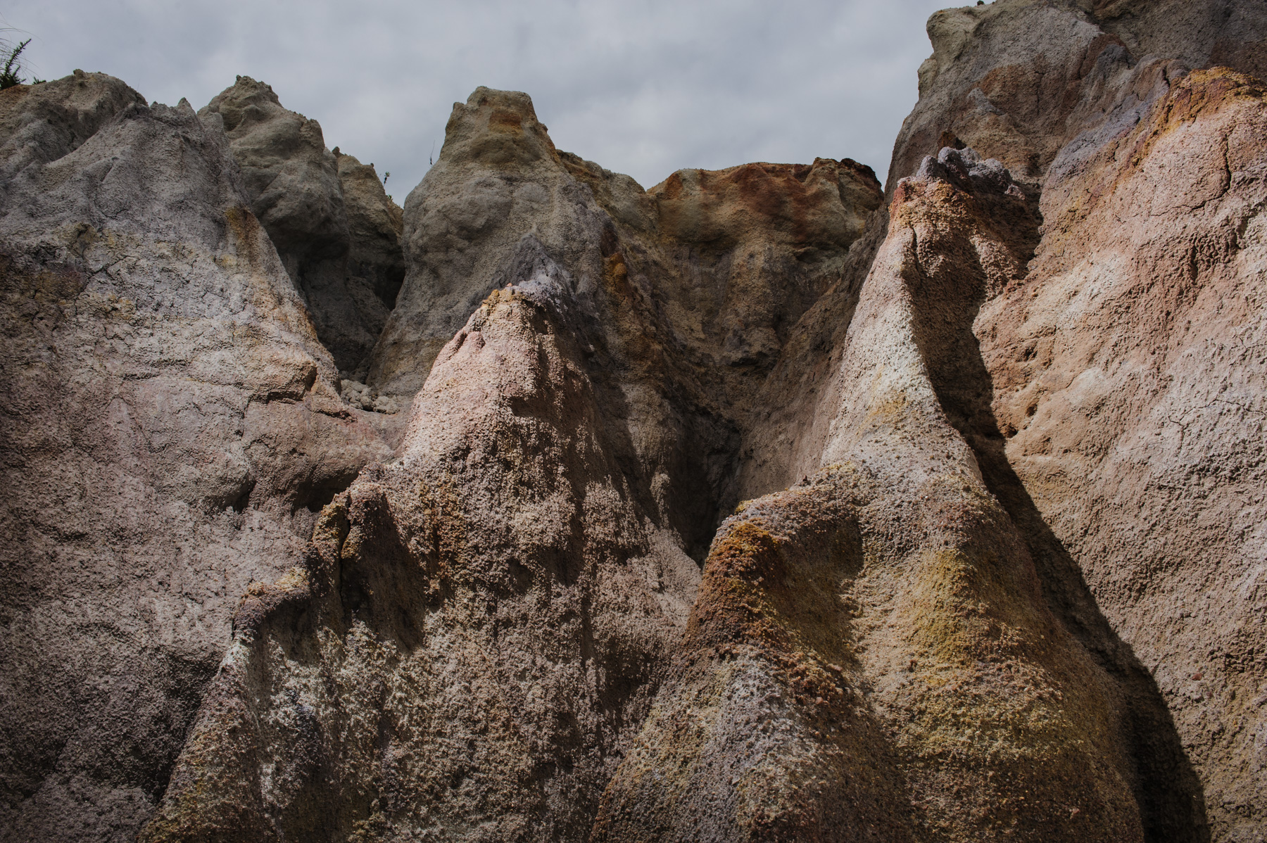 06 | SOLAR, Nelson d’Aires