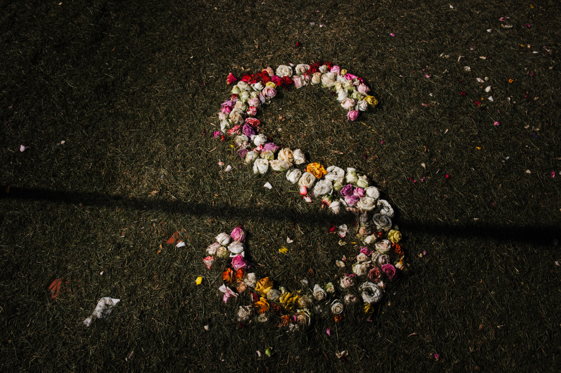 08 | SOLAR, Nelson d’Aires