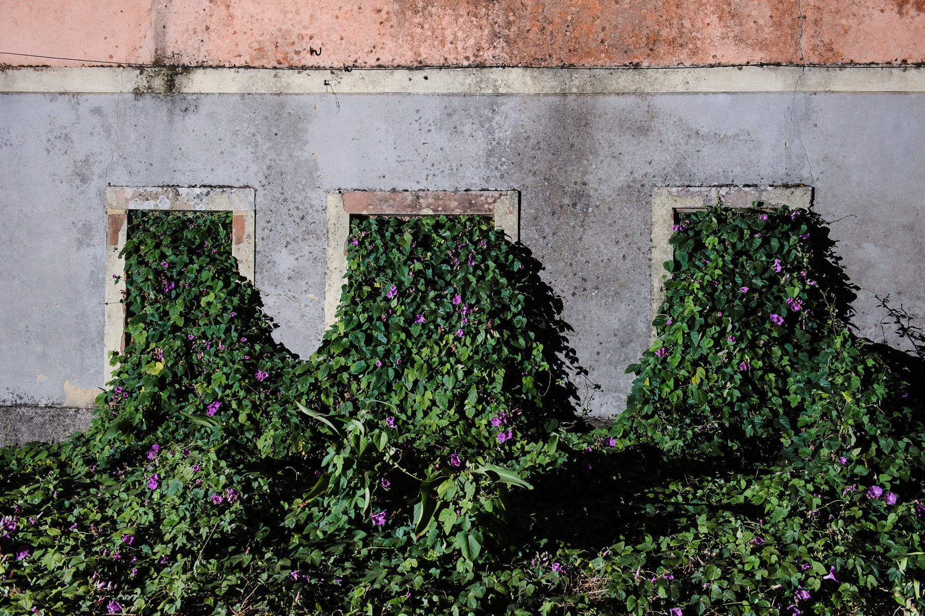 11 | SOLAR, Nelson d’Aires