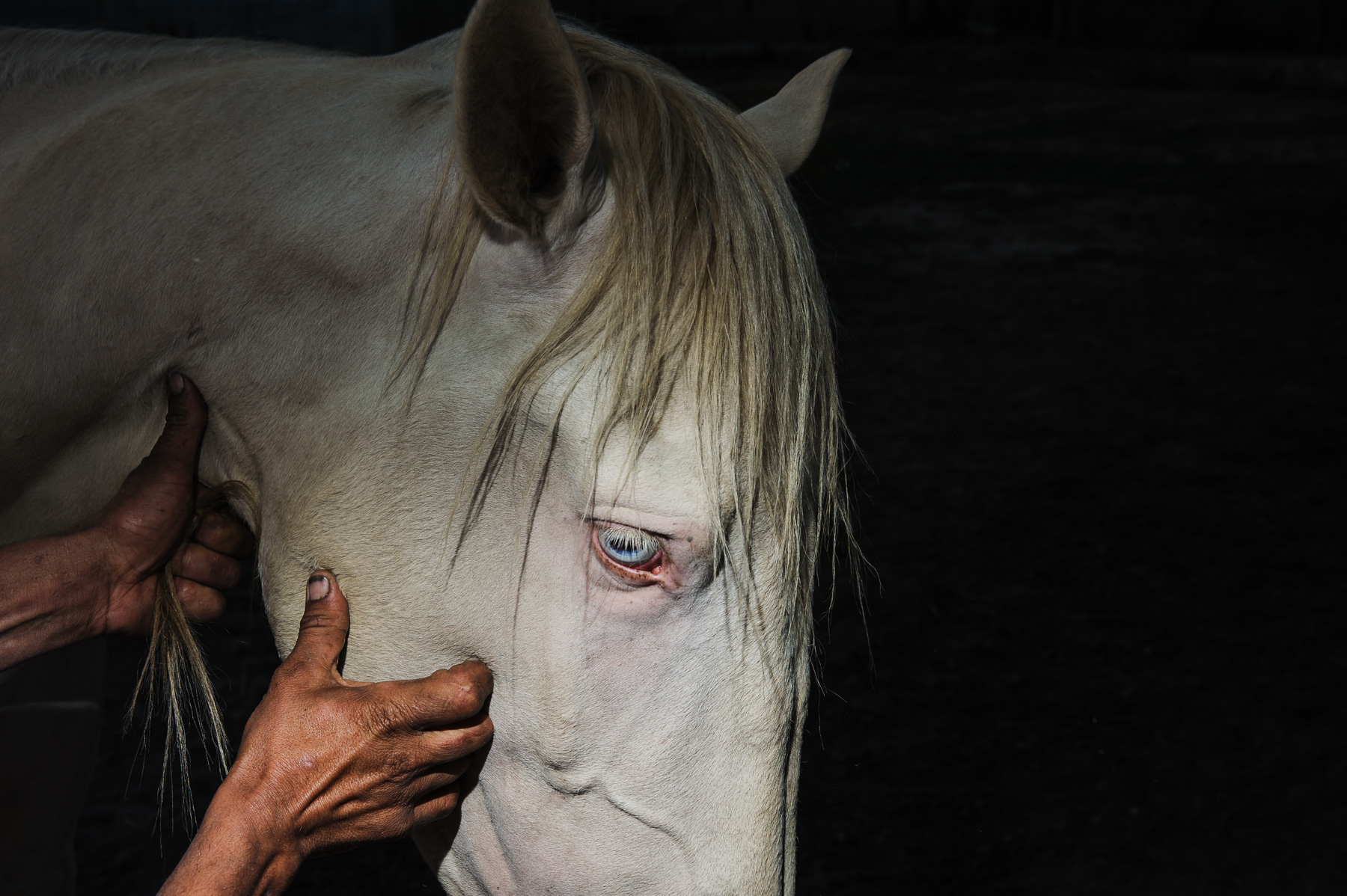 13 | SOLAR, Nelson d’Aires