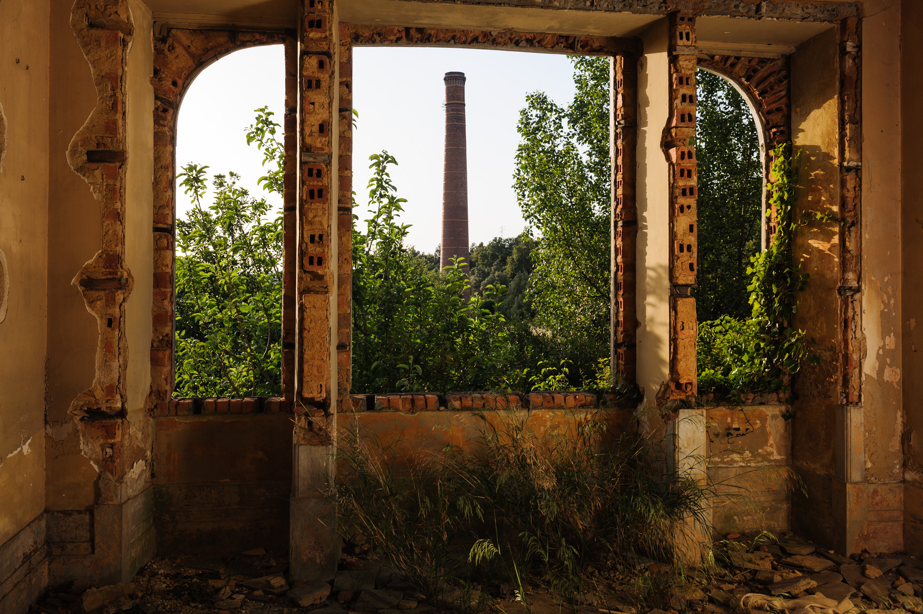 21 | SOLAR, Nelson d’Aires